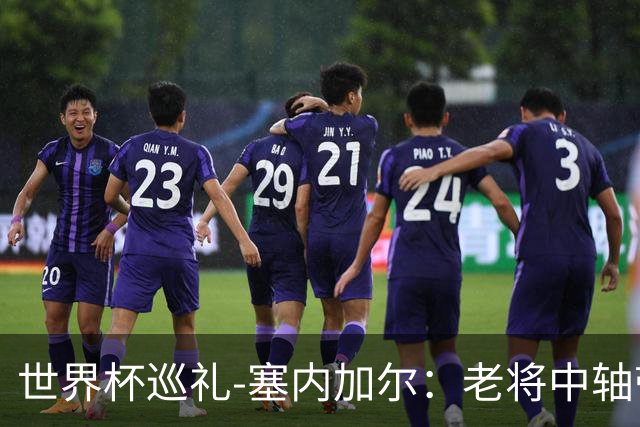 世界杯巡礼-塞内加尔：老将中轴带来安全感，非洲顶流前景可期！